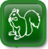 Squirrel - Energy Programs
